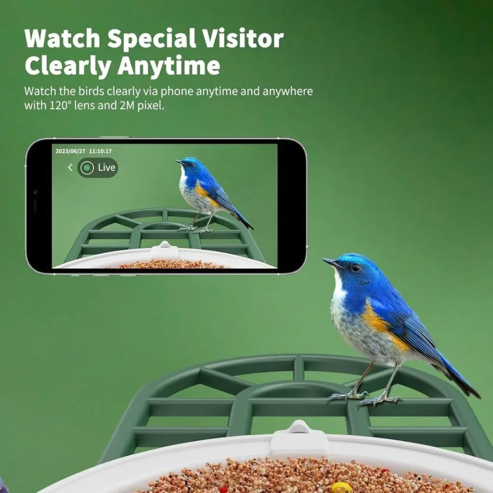 Bird Feeder with AI Identify Bird Species Camera